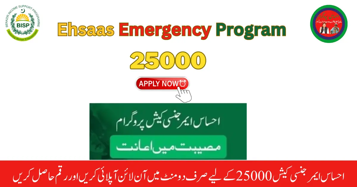 Ehsaas Emergency Program 25000 Apply Online In Two Mints