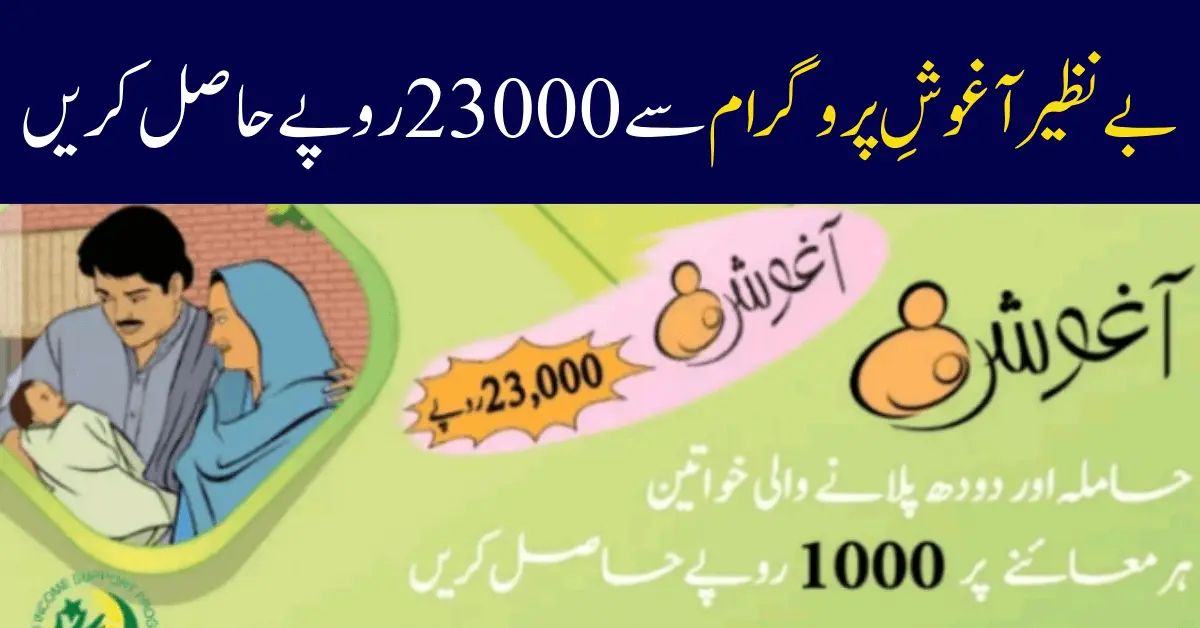 Benazir Aghosh Program 23000 Online Registration 2024